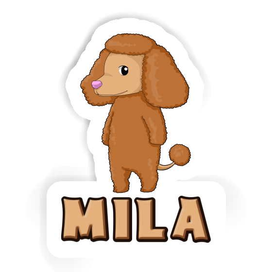 Caniche Autocollant Mila Gift package Image