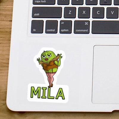 Sticker Kiwi Mila Gift package Image