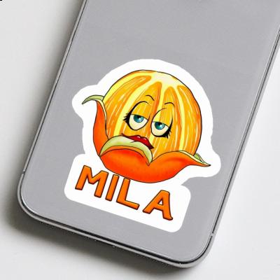 Orange Autocollant Mila Notebook Image