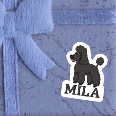 Autocollant Caniche Mila Gift package Image