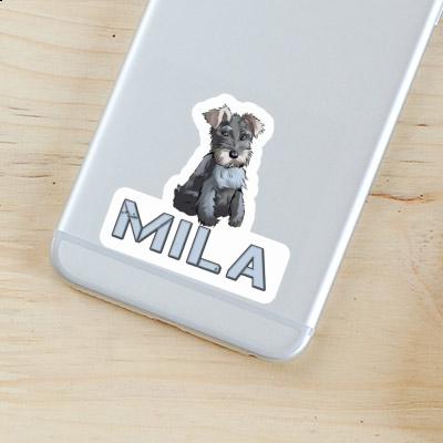 Autocollant Schnauzer Mila Gift package Image