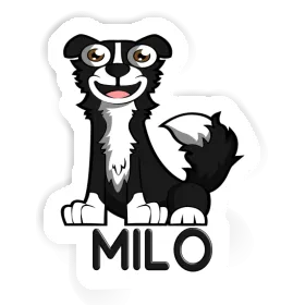 Milo Sticker Border Collie Image