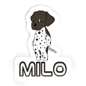 Sticker German Shorthaired Pointer Milo Image