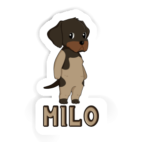 Sticker German Wirehaired Milo Image