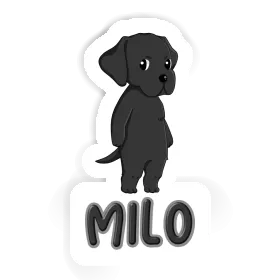 Sticker Milo Labrador Retriever Image