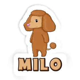 Poodle Sticker Milo Image