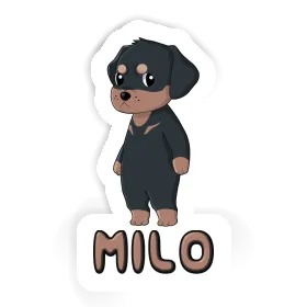 Rottweiler Sticker Milo Image