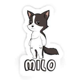 Sticker Border Collie Milo Image