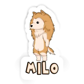 Sticker Milo Collie Image