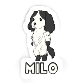 Sticker Milo English Cocker Spaniel Image