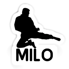 Karateka Sticker Milo Image