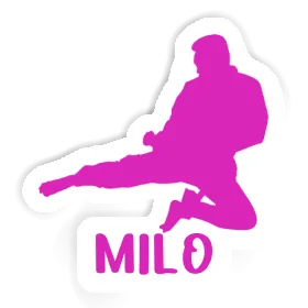 Karateka Sticker Milo Image