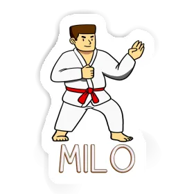 Karateka Sticker Milo Image