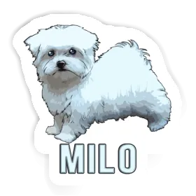 Sticker Milo Maltese Image