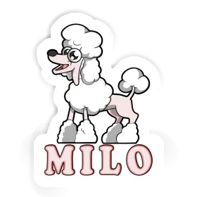 Sticker Poodle Milo Image