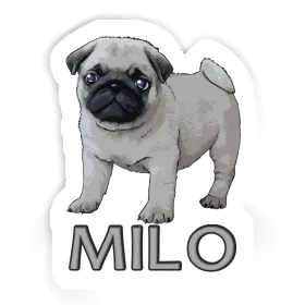 Pug Sticker Milo Image