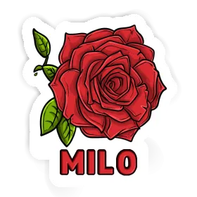 Aufkleber Milo Rose Image