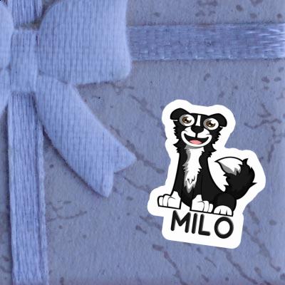 Milo Sticker Border Collie Image