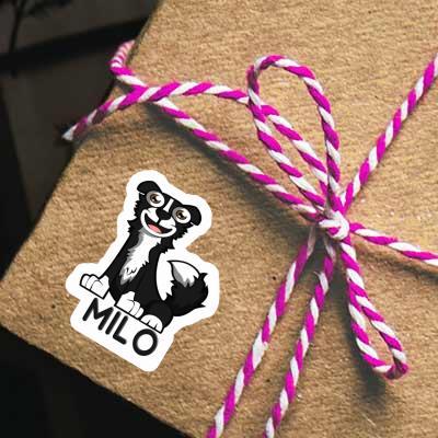 Sticker Border Collie Milo Image