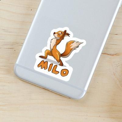 Sticker Squirrel Milo Gift package Image