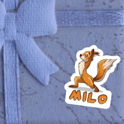 Sticker Squirrel Milo Gift package Image