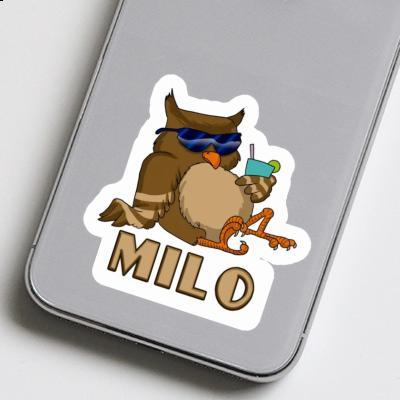 Autocollant Milo Hibou Gift package Image