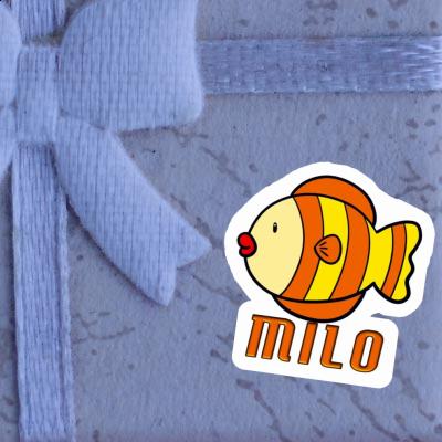 Autocollant Milo Poisson Gift package Image