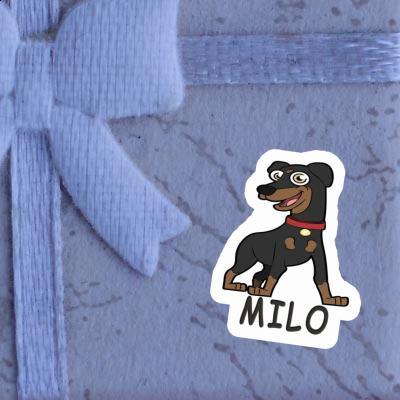 Pinscher Autocollant Milo Laptop Image