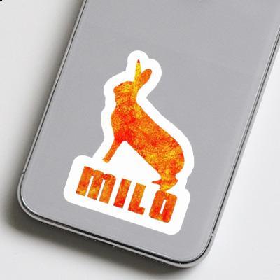 Sticker Rabbit Milo Gift package Image