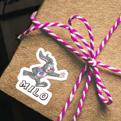 Sticker Milo Rugby rabbit Gift package Image