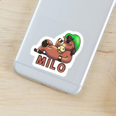 Milo Autocollant Cheval Gift package Image