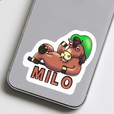 Lying horse Sticker Milo Gift package Image