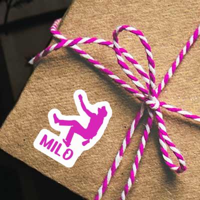 Kletterer Aufkleber Milo Gift package Image