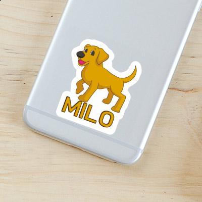 Labrador Autocollant Milo Gift package Image