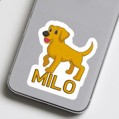 Sticker Dog Milo Gift package Image