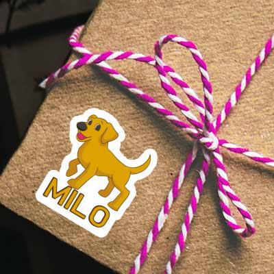 Sticker Dog Milo Gift package Image