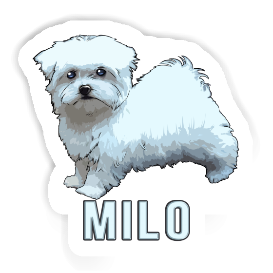 Sticker Milo Maltese Gift package Image