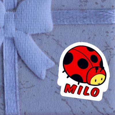 Autocollant Coccinelle Milo Image