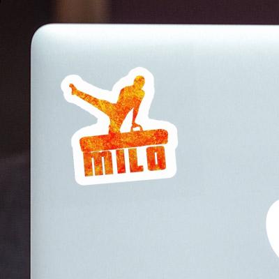 Milo Sticker Gymnast Gift package Image