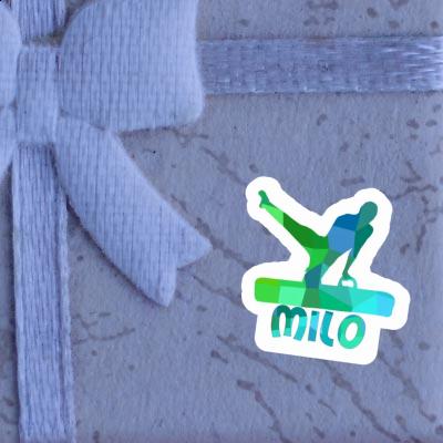 Milo Sticker Turner Gift package Image