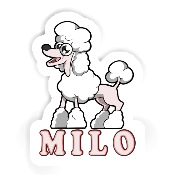 Aufkleber Pudel Milo Image