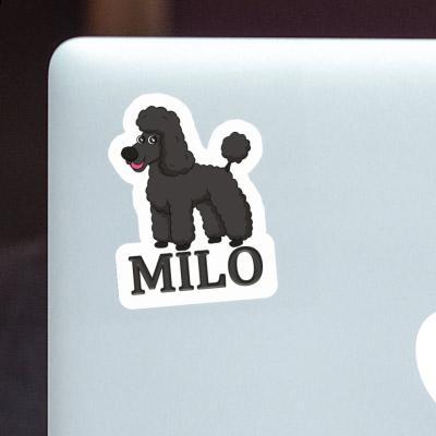 Caniche Autocollant Milo Gift package Image