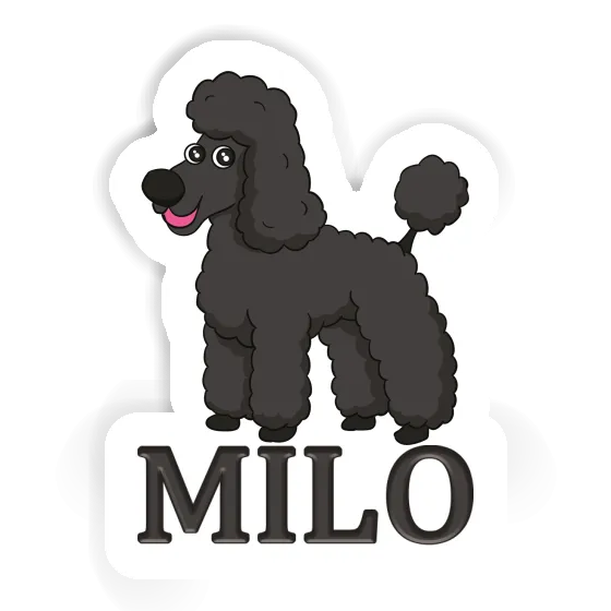 Caniche Autocollant Milo Gift package Image