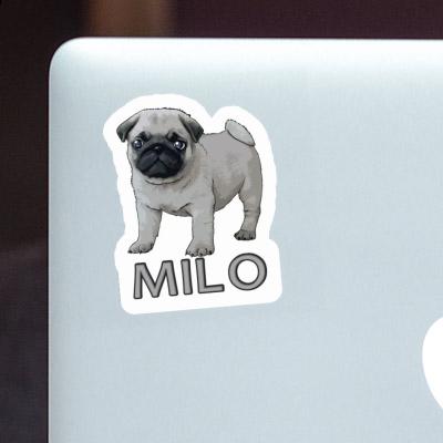 Pug Sticker Milo Gift package Image