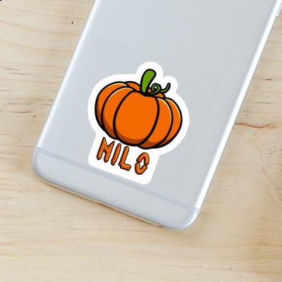 Sticker Milo Pumpkin Notebook Image