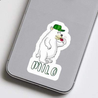 Bear Sticker Milo Gift package Image