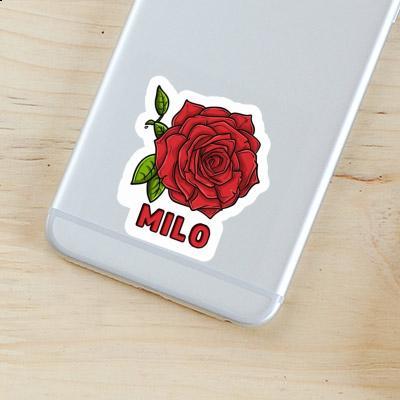 Milo Sticker Rose Gift package Image