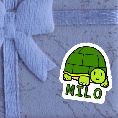 Autocollant Tortue Milo Laptop Image