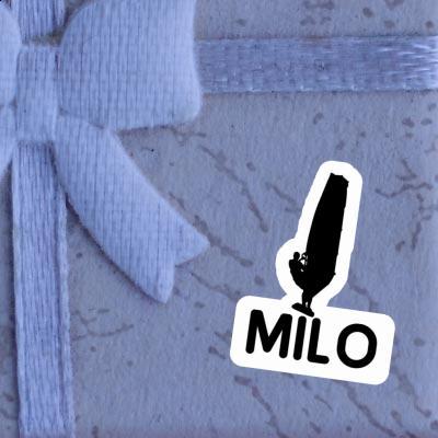 Windsurfer Autocollant Milo Gift package Image