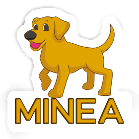 Sticker Minea Labrador Image